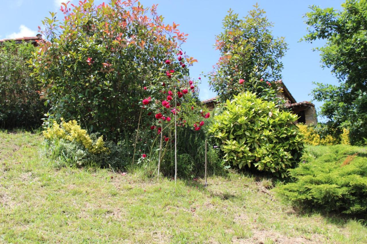 El Refugio De Luena Villa San Miguel de Luena Luaran gambar